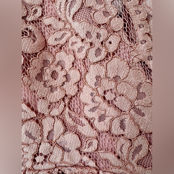 Dusty rose pink wrap style lace fit and flare H&M dress - Picture 2 of 7